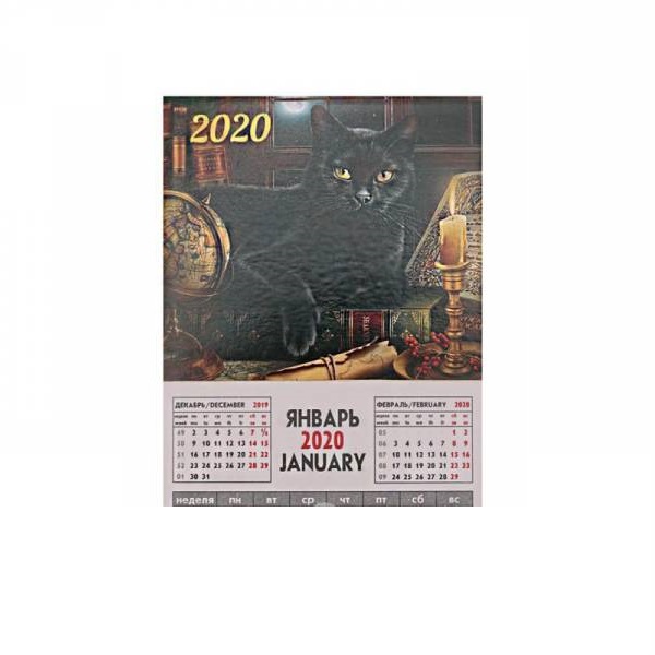Календарь на магните отрывной 2020 Черный кот, 9*16 см КМ-5067