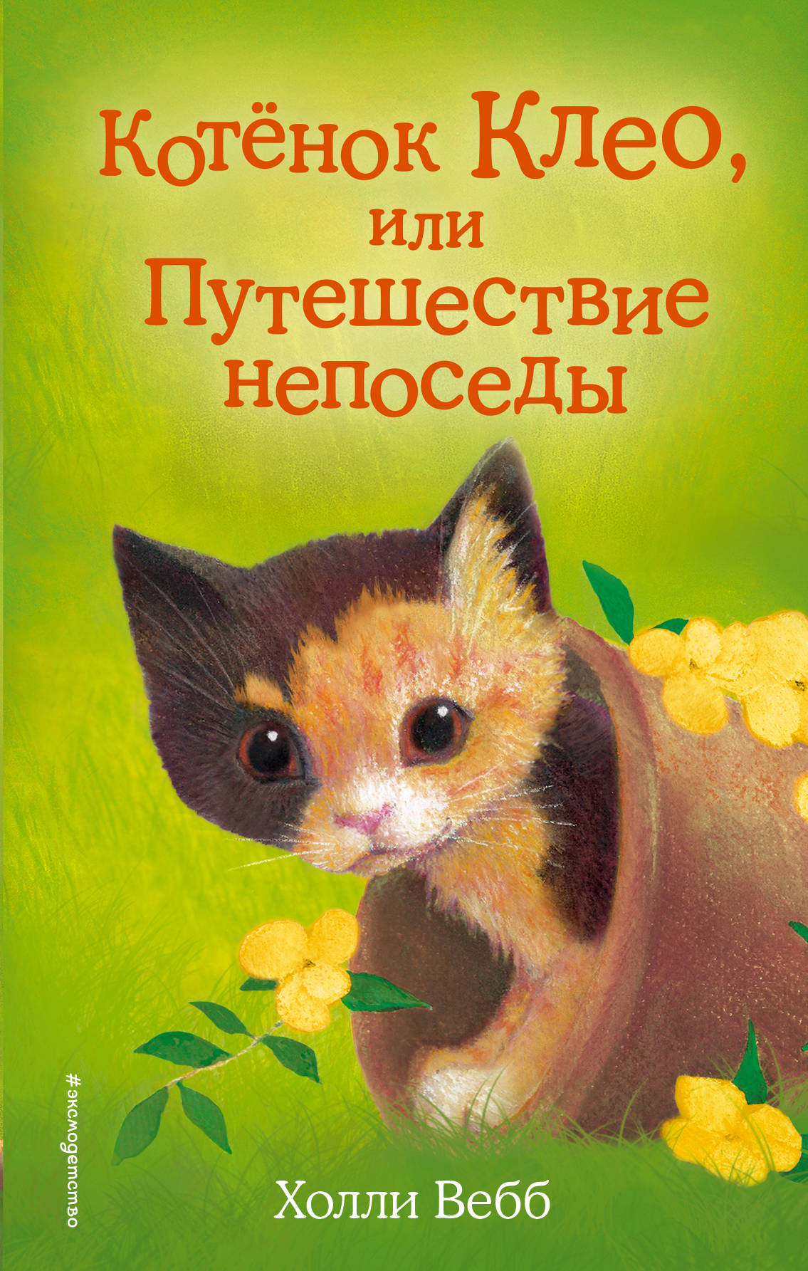 Книжка "Котёнок Клео, или Путешествие непоседы" Вебб Х. 090840-0