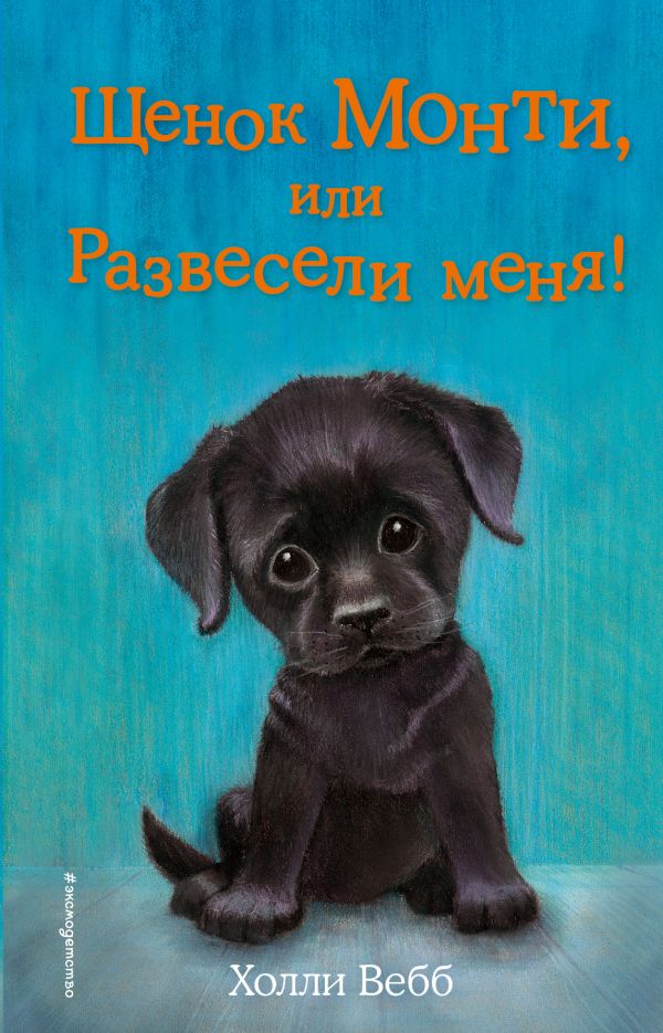 Книжка "Щенок Монти, или Развесели меня!" Вебб Х. 091874-4