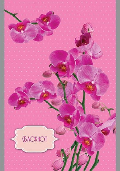 Блокнот А5 на скрепке, 32 л.кл. Орхидеи на розовом С0101-108