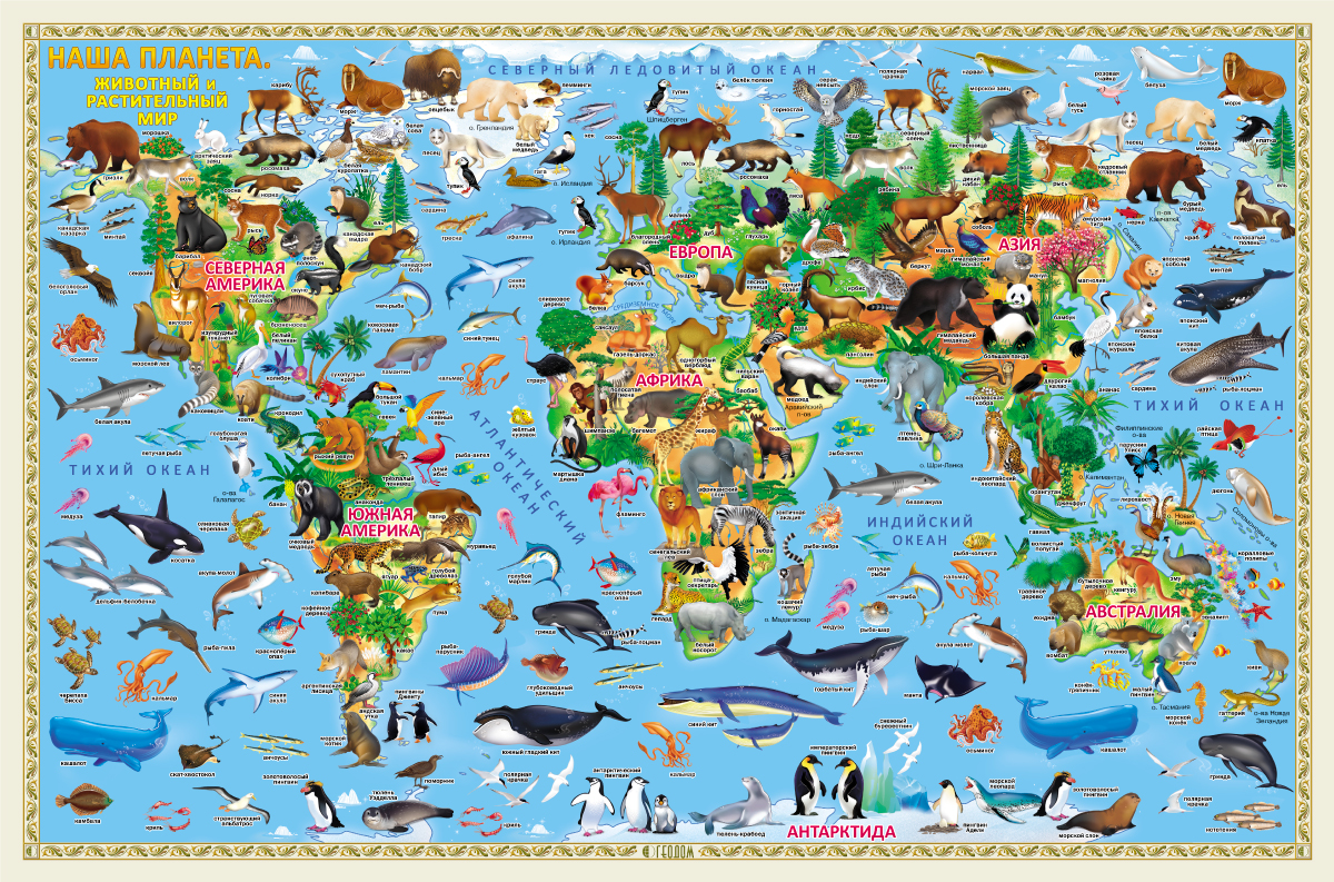 Карта Мира Наша планета. Животный и растительный мир (58х38 см) настенная Геодом