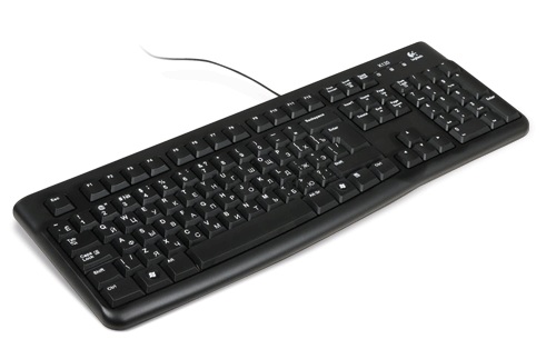 Клавиатура Logitech K120 черный USB