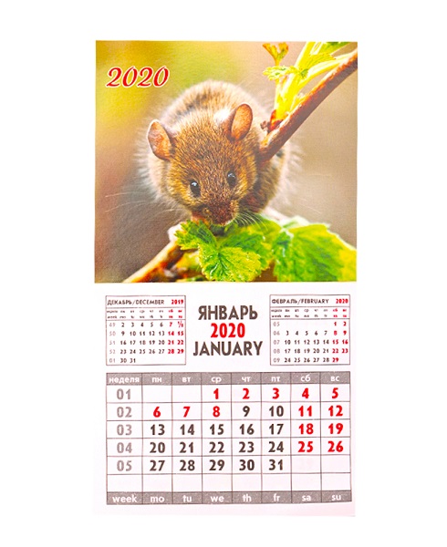 Календарь на магните отрывной 2020 Символ года №8, 9*16 см КМ-4987