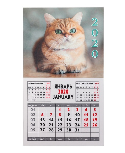 Календарь на магните отрывной 2020 Красивый кот, 9*16 см КМ-5065