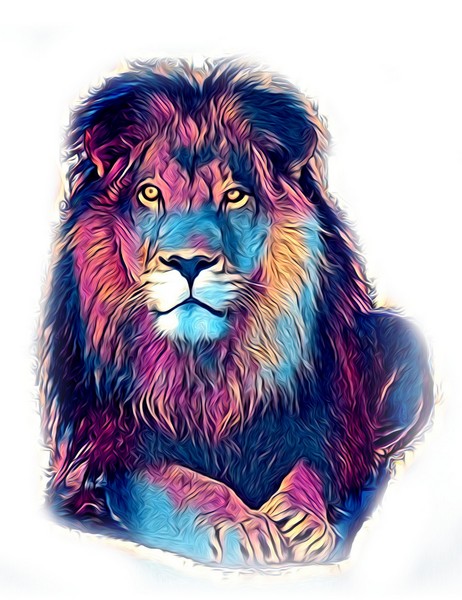 Картина по номерам 30*40 Разноцветный лев Х-2931