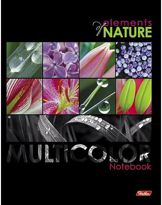 Тетрадь 240 л.клет. Хатбер на кольцах -Multicolor- 14439