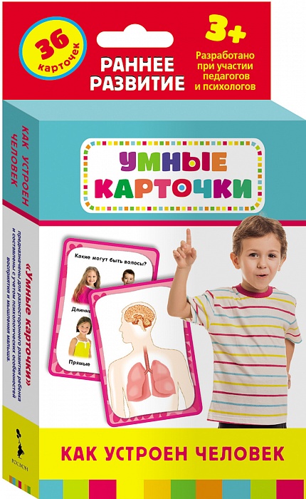 Обучающие карточки Как устроен человек 3+ 25191