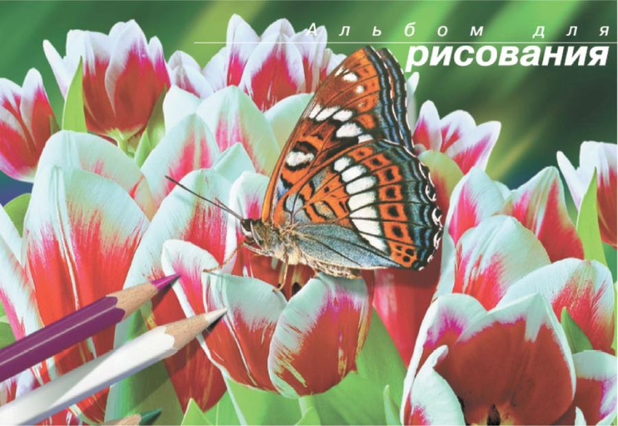 Альбом для рисов.на сутаже 30 л "Бабочки" АЛ009/30