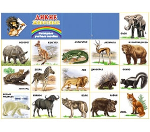 Плакат А2 Дикие животные 10-01-0013