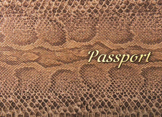 Обложка для паспорта кожа Питон золотой 20082