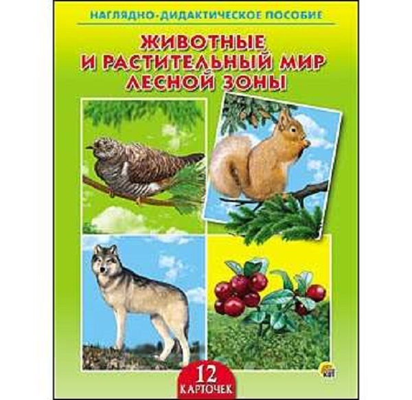 Дидактическое пособие "Животные и растительный мир лесной зоны" ПД-6401
