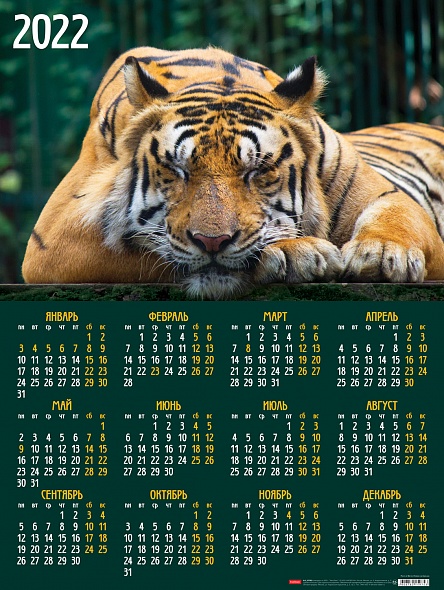 Календарь настен. листовой 2022г. А2 60*45см -Год Тигра- Кл2_25936
