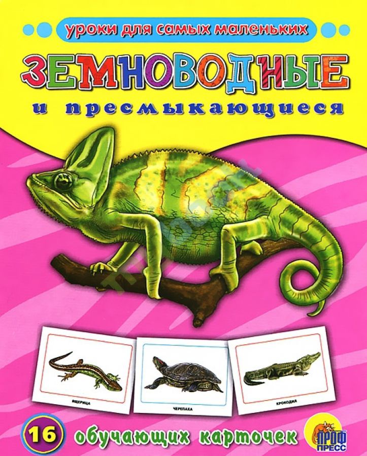 Обучающие карточки ПрофПресс "ЗЕМНОВОДНЫЕ И ПРЕСМЫКАЮЩИЕСЯ" 978-5-378-07279-8
