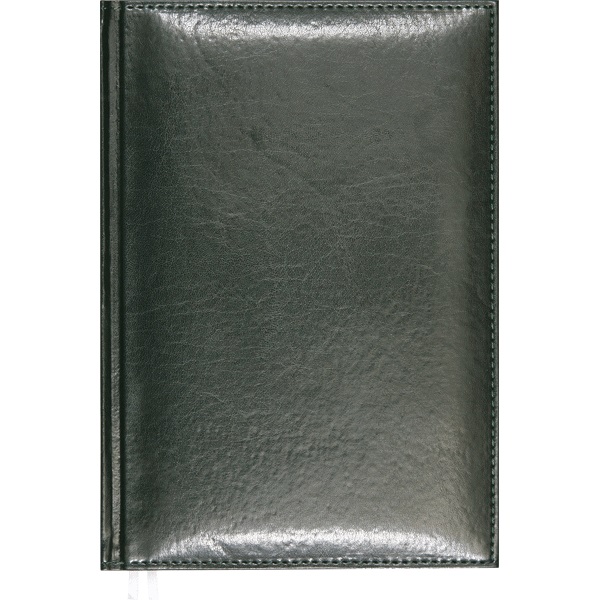 Ежедневник А-5 датир. 2024 г. Attomex. Visa, кожзам, термо тиснение, темно-зеленый 2332465