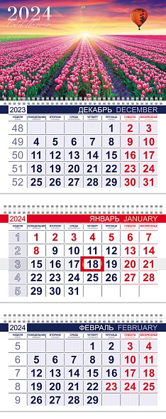 Календарь кварт.3-х блоч. 2024г. -Цветущие поля- на 3х гребнях ОФИС, с бегунком 3Кв3гр3_29634