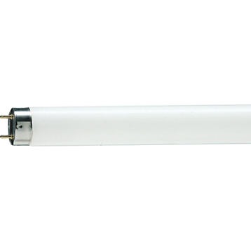 Лампа люминесцентная PHILIPS TL-D G13 36W/54-765 SLV (длинная) 
