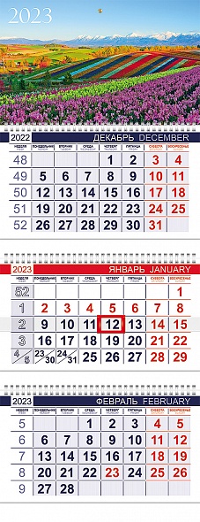 Календарь кварт.3-х блоч. 2023г. -Цветущие долины- на 3х гребнях, с бегунком 3Кв3гр3_27059